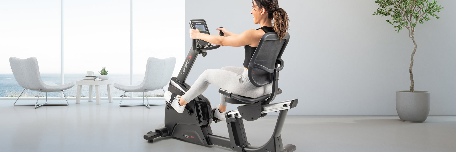 Bicicletas Reclinadas