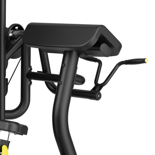 Flexion des biceps PLX 3800