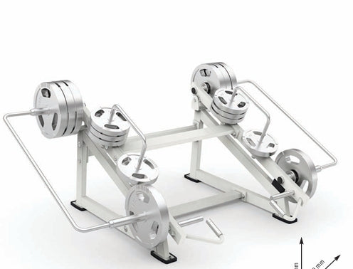 Outdoor Gym Squat Lunge FWX-O7500