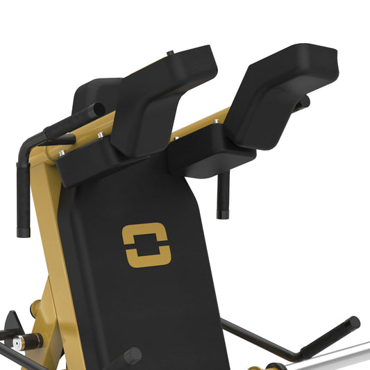 Machine à squat en V FWX-10000