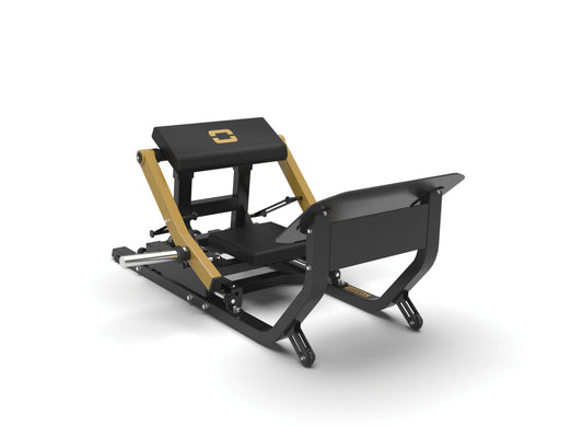 Machine de poussée de hanche FWX-10300