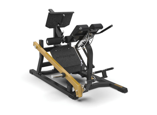 Machine à double hyper extension FWX-10500