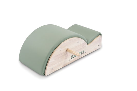 Pilates Spine Corrector