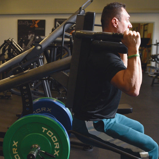 Hack Squat Professionnel Fwx 6200