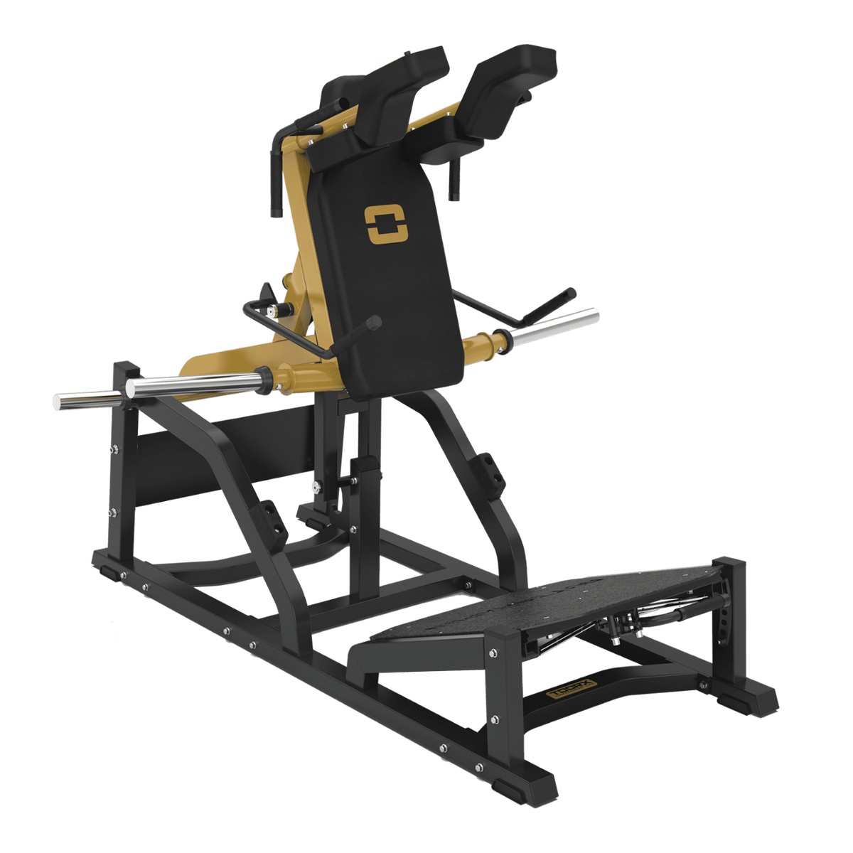 Machine à squat en V FWX-10000