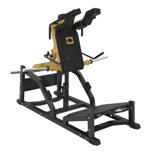 Machine à squat en V FWX-10000