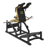 Machine à squat en V FWX-10000