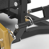 Máquina Dual Hyper Extension FWX-10500