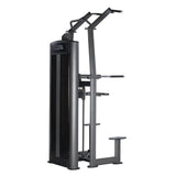 Professional Assisted Pull Up/Chin Up/Dip Machine PLX-6350 