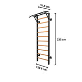 Professional Backrest Ldx 3000