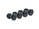 Professional Dumbbell Set 308 kg